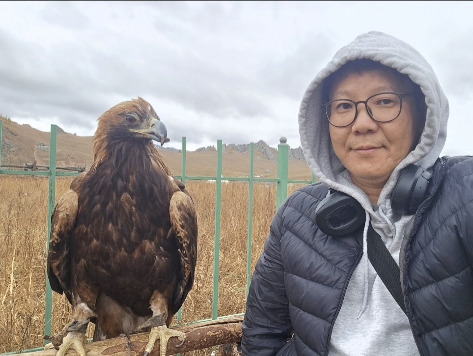 Travel moment with a golden eagle in Mongolia